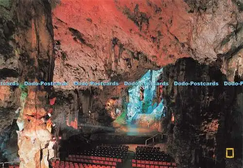 D237493 Gibraltar St Michael Cave Fisa