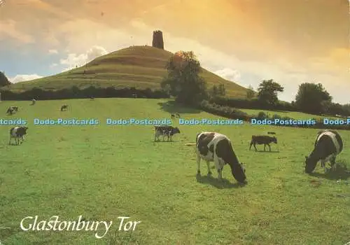 D239817 Glastonbury Tor J Salmon Ltd Cameracolour