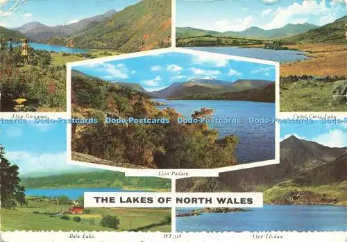 D230611 The Lakes of North Wales Bala Lake Llyn Llydaw Valentine and Sons Ltd Va