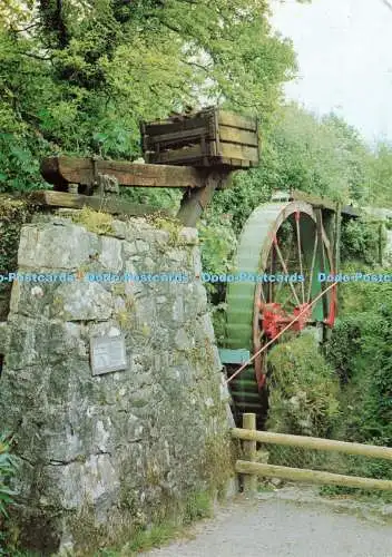 D235278 Carthew St Austell Wheal Martyn Museum The Working 18 Diameter Water Whe