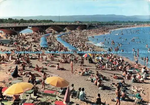 D230624 Saint Aygulf Var La Plage Mär 1962