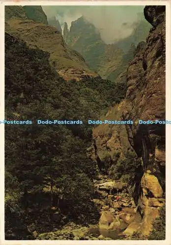 D237536 Drakensberg A Climbers Challenge Kunstverlag Arco L E A Oates