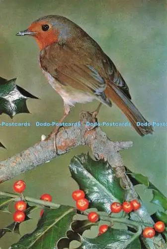 D235325 Robin J Arthur Dixon W S Paton