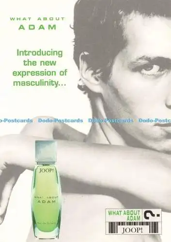 D237585 What About Adam Boomerang Media