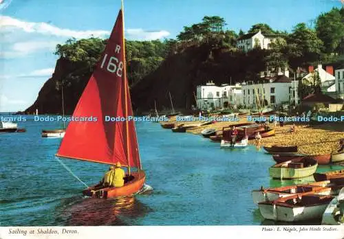 D230695 Devon Sailing at Shaldon John Hinde Ltd E Nagele