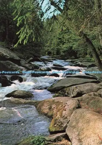 D237643 Romantischer Harz Wolfg Hans Klocke