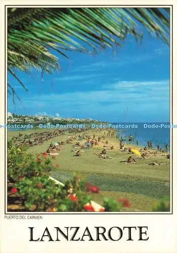 D235426 Lanzarote Puerto Del Carmen A Murillo