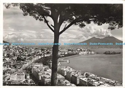 D230768 Napoli Panorama Vincenzo Carcavallo RP