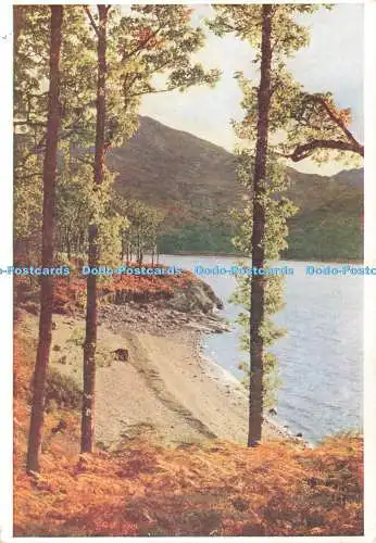 D237664 Loch Katrine Neill McGregor Kunstverlag The Medici Society