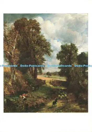 D237668 The Cornfield John Constable The National Gallery F W Pawsey