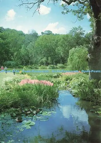 D237693 Bachgarten The Royal Horticultural Society Garten Beric Tempest C J R
