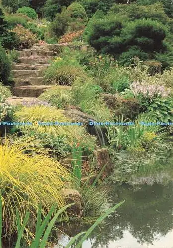 D237694 Laubpflanzen auf dem Steingarten im Spätsommer Der königliche Gartenbau