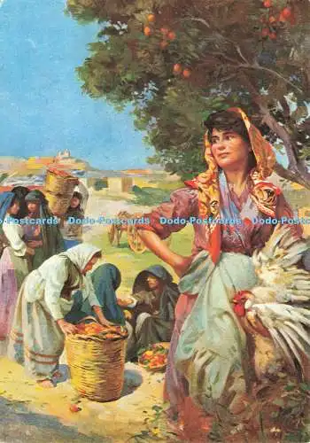 D235489 Malta On The Road To Citta Vecchia Chev Edw Caruana Dingli Perfecta Adve