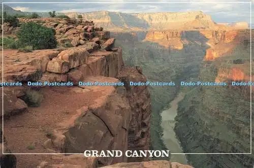 D230821 Arizona Grand Canyon Dick Dietrich Thunderbird Postkarten