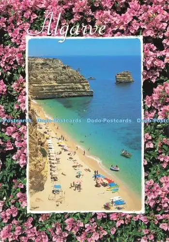 D237728 Algarve Michael Howard