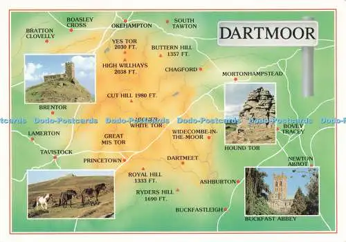 D230837 Dartmoor Brentor Dartmoor Ponys J Arthur Dixon Ltd Alan Rowe Multi View