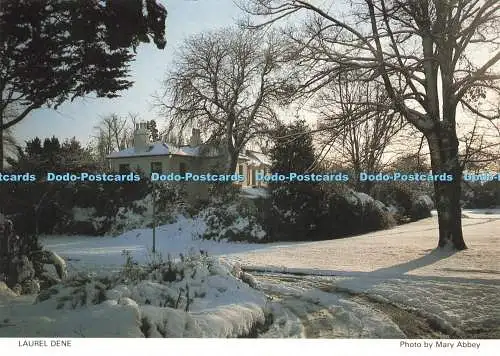 D230873 Laurel Dene Chiltern Hunderte Richter Postkarten Ltd Mary Abbey
