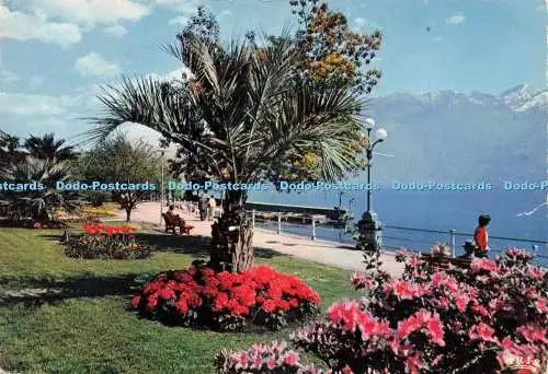 D230921 Locarno Lago Maggiore Lungolago Promenade Pancaldi Mexichrome
