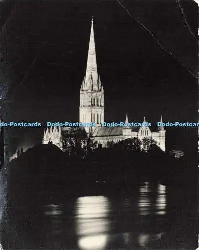 D237816 Salisbury Cathedral Floodlit F Futcher