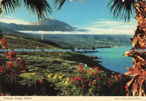 D230925 Teneriffa Kanarische Inseln John Hinde ltd E Ludwig