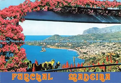 D230980 Funchal Madeira Wester View Francisco Ribeiro