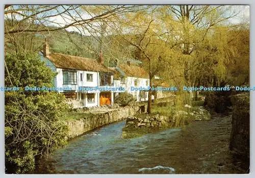 D319033 Cheddar. Somerset. Flussaxt. J. Arthur Dixon