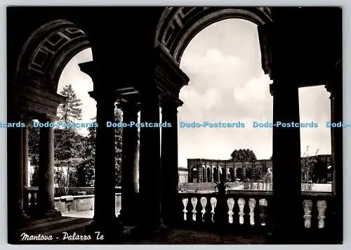 D320679 Mantova. Palazzo Te. F. M. M. RP