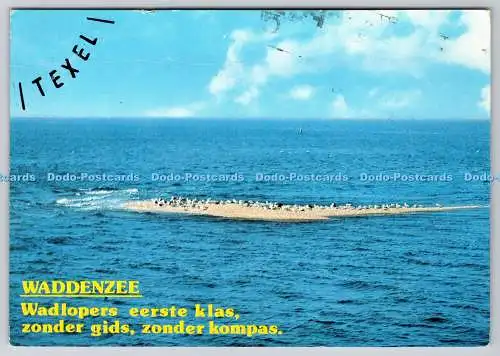 D319063 Wattenmeer. Van Leer