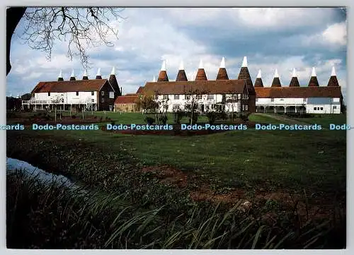 D316255 Whitbread Hop Farm. Gürtelring. Kent. Richter. Hastings. A Ross Orpin Origi