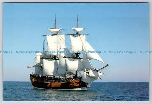D316299 The Endeavour Replica. HM Bark Endeavour Foundation Pty Ltd