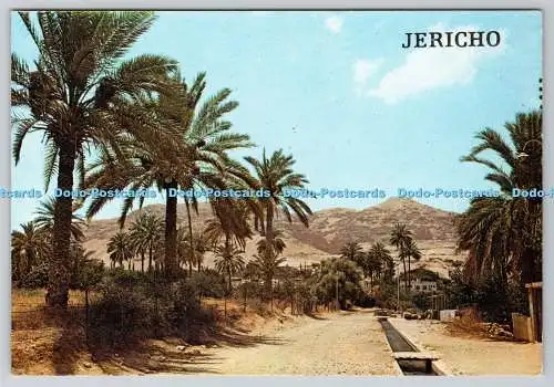 D320794 Jericho. Brunnen des Eliseus. I. Amad