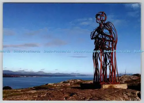 D316368 Y Delw. Lanbedrog. Die Statue. Cimwch Com