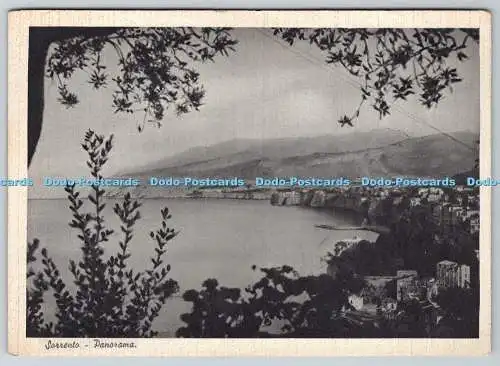 D320845 Sorrent. Panorama. G. Di Maio. Serta Rho