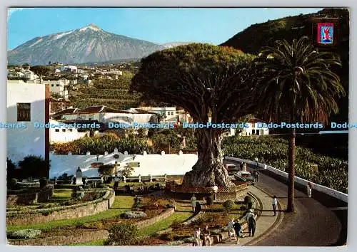 D316414 Icod de los Vinos. Teneriffa. El Drago Millenario. Escudo de Oro. Foto Su