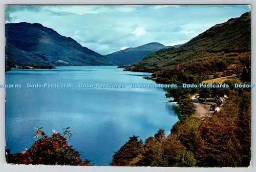 D316420 Loch Eck. Argyll. Coylet. Dunoon nach Strachur. A. D. Henderson. Supercolo