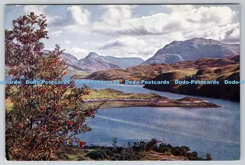 D316421 Kylesku Fähre. Sutherland. Echtfarbfoto. Schottische Bildserie