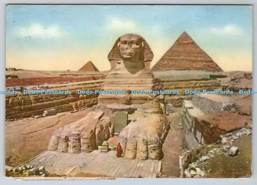 D320856 Die Große Sphinx von Gizeh. Lehnert und Landrock. K. Lambelet Succ