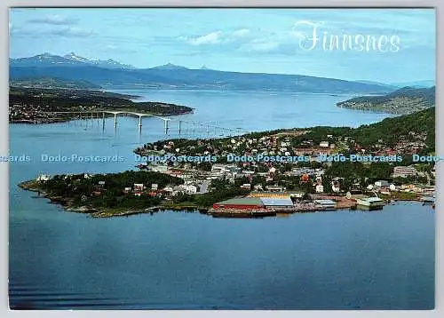D316425 Finnen. Norwegen. HC Offset. ZUM FOTO ALS. Harstad