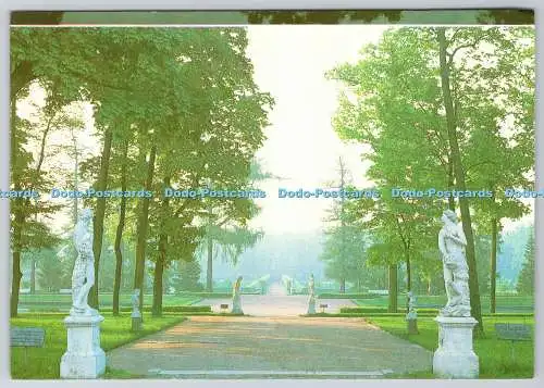 D316481 Stadt Puschkin. Der Katharinenpark. Die Hauptstraße des Alten Gartens.