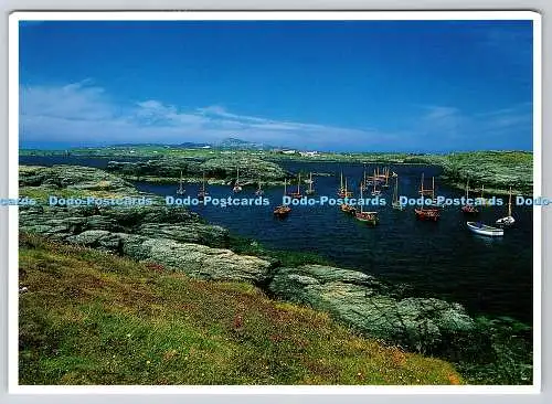 D316496 Port Diana. Trearddur Bay. Ursprünge Gwreidiau. Dave Newbould. Alpine Pre