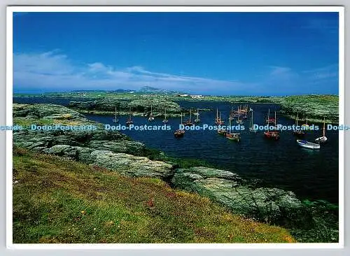 D316497 Port Diana. Trearddur Bay. Ursprünge Gwreidiau. Dave Newbould. Alpine Pre