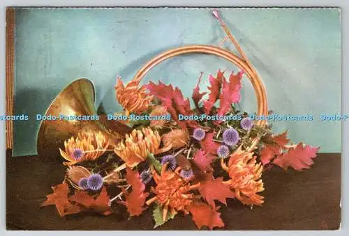 D320995 Blüten und Blätter. Vege. Brüssel. Postkarte. 1969