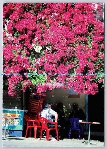 D321088 Griechenland. Kreta. Café. M. Kouvidis. Heraklio. PM. Chania. 2011. Pos