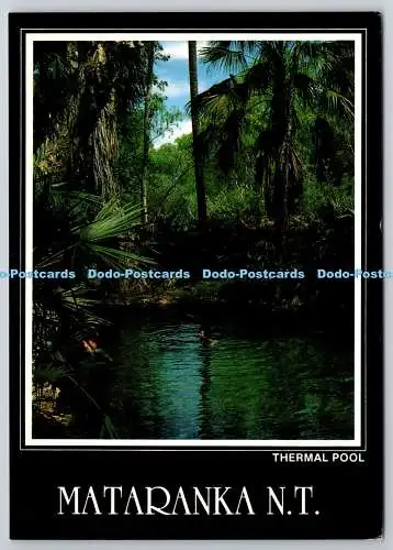 D321117 Matranka N.I. Thermalbecken. Wayne Zerbe. Northern Territory Souvenirs.