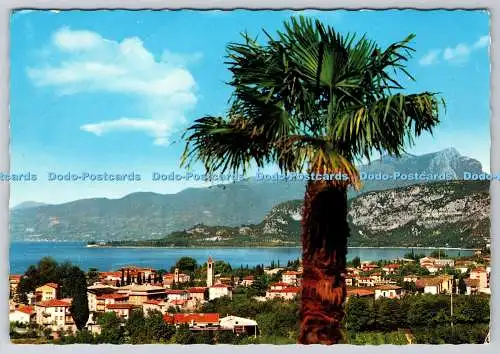 D316693 Gardasee. Bardolino. Panorama. M. Rossi. Brescia. 1970