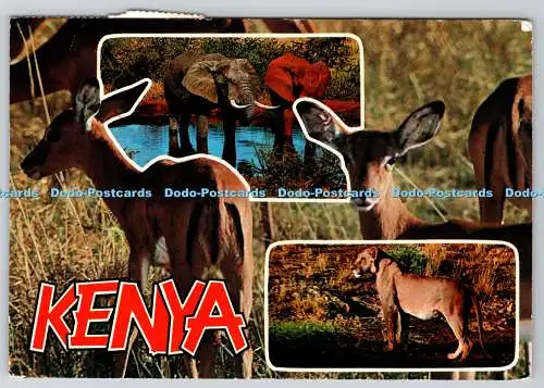 D316694 Safari durch Kenia Parks. Dino Sassi. 1975. Multi View