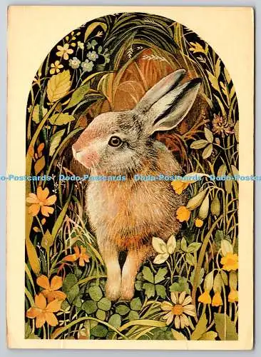 D321121 Hase. Valerie Greeley. Camden Graphics 1979. London. England. PC 88. Pos