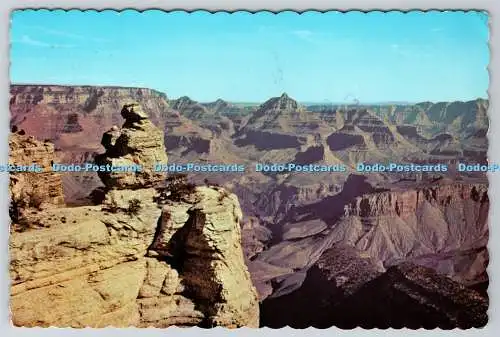 D316697 Duck on the Rock Grand Canyon Nationalpark. Arizona. Mike Roberts Farbe