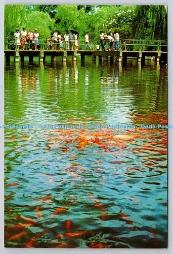 D321162 Blumenteichpark. Zhejiang Peoples Fine Art Publishing House. Zhejiang