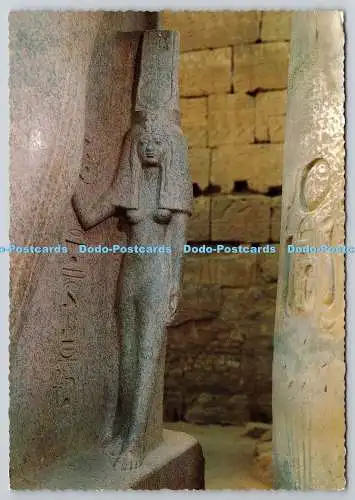 D321164 Ägypten. Luxor Tempel. Statue der Königin Nefertari. Ägyptische Generalorganisation